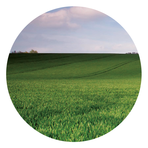 IMG_DE CADA FICHA_Mesa de trabajo 1 copia 2